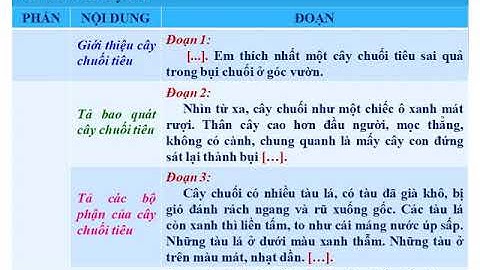 TLV 4 TUAN 24 LUYEN TAP XAY DUNG DOAN VAN MIEU TA CAY COI