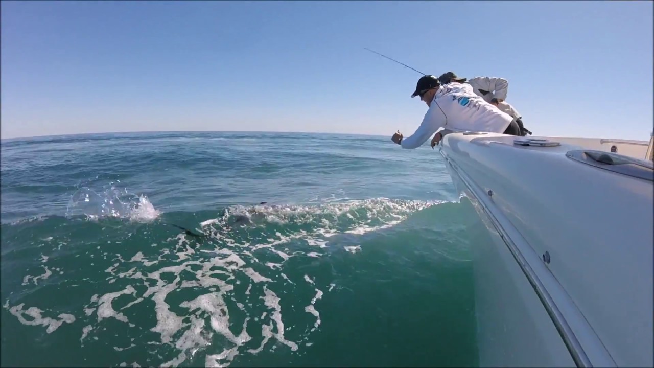 Exmouth fishing OnStrike Charters YouTube