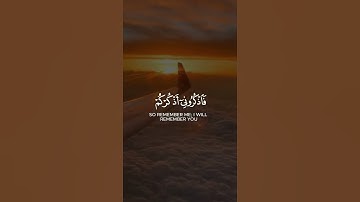 ارح سمعك😴❤|قران كريم |سورة البقرة |القارئ #ماهر_المعيقلي  |تلاوة خاشعة #انستقرام #𝐇𝐨𝐥𝐲 𝐐𝐮𝐫𝐚𝐧