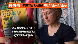 Ещё один простой способ, как я выращиваю триходерму.