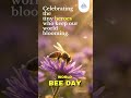 World Bee Day 2026 | Celebrating the Tiny Heroes of Agriculture 🐝