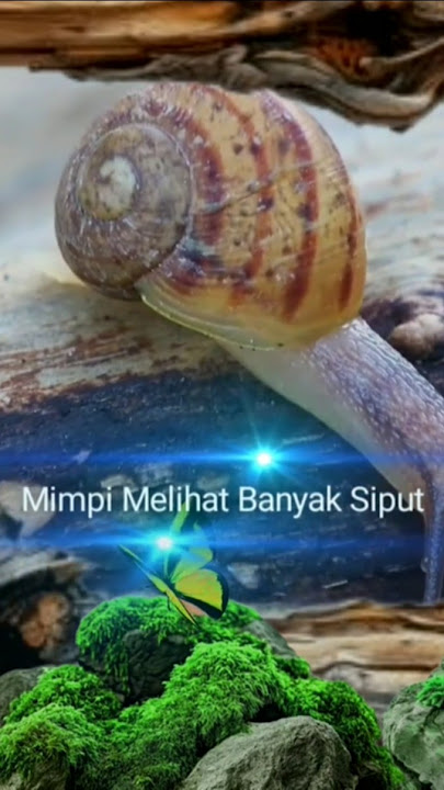Download lagu Arti mimpi melihat banyak siput menurut Primbon Jawa
