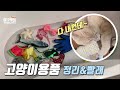 [집사일기] 고양이용품 정리하고 빨래하기 (feat. 프로방해러)