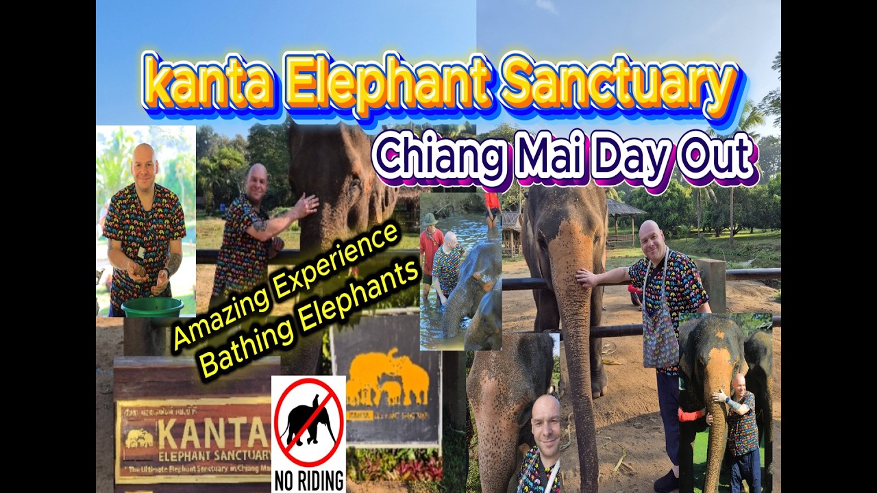 Kanta elephant sanctuary chiang mai. what a  amazing experience. Day out.