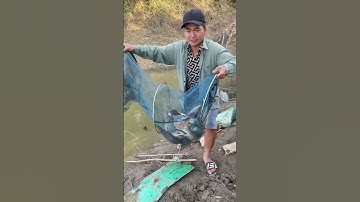 báo 1 giỏ cá câu sông anh em ơi#fishing #cauca