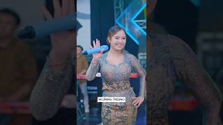 Wong Ayu  dangdut dangdutkoplo hiburan viral