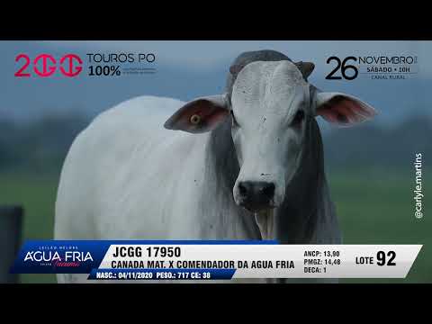 LOTE 92   JCGG 17950