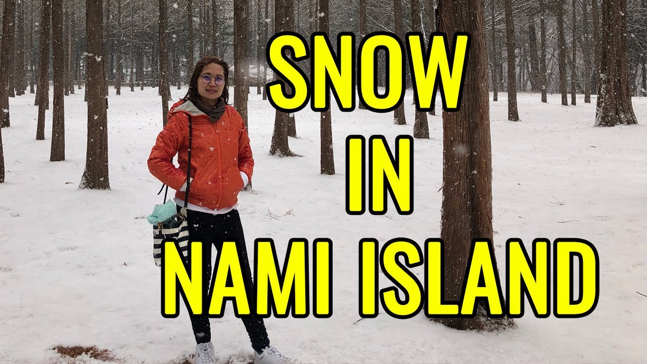 WINTER IN NAMI ISLAND SOUTH KOREA | Chona PH