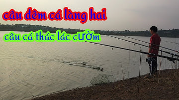 câu cá thác lác cườm (cá làng hai) phần 4