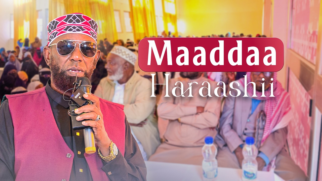 Шейх Амин Ибро – источник преследований