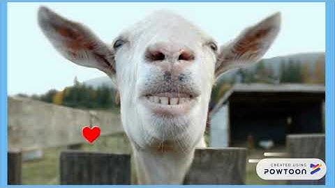 SELF-INTRODUCTION POWTOON VIDEO