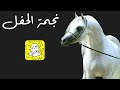 شيلة نجمة الحفل اداء هلال السهم 2022 حصرياً شيلة نجمة الحفل اداء هلال السهم 2022 حصرياً