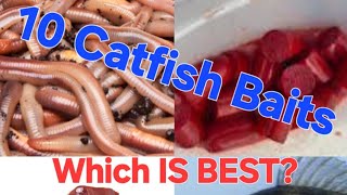 10 Catfish Baits. Which One Is Best??