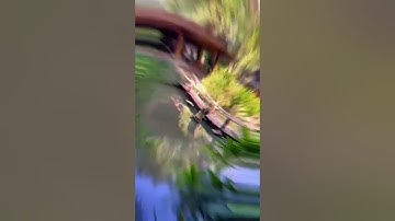 Rainy Coffee - Quán Cà Phê Sân Vườn Ở Buôn Ma Thuột Cực Kỳ Rộng Rãi Thoáng Mát #cafe #bmt #dulich