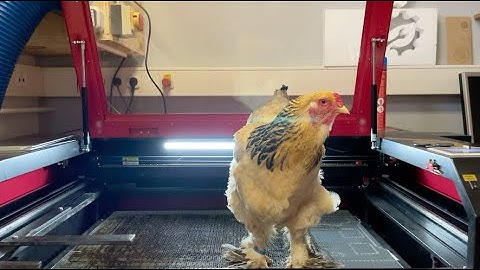 laser engraving easter eggs