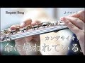 ☆楽譜あり【フルート】命に嫌われている。/カンザキイオリ（初音ミク）【ボカロ演奏してみた】