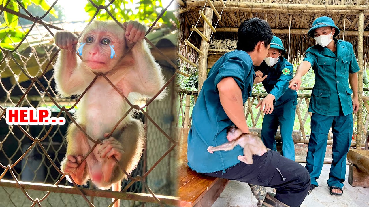 Суши не хочет покидать мирную жизнь папы, Суши и папы