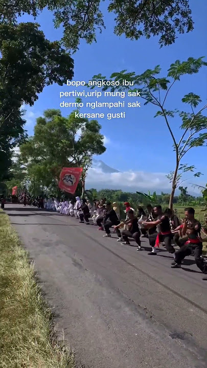 story wa ikspi kera sakti terbaru #shorts