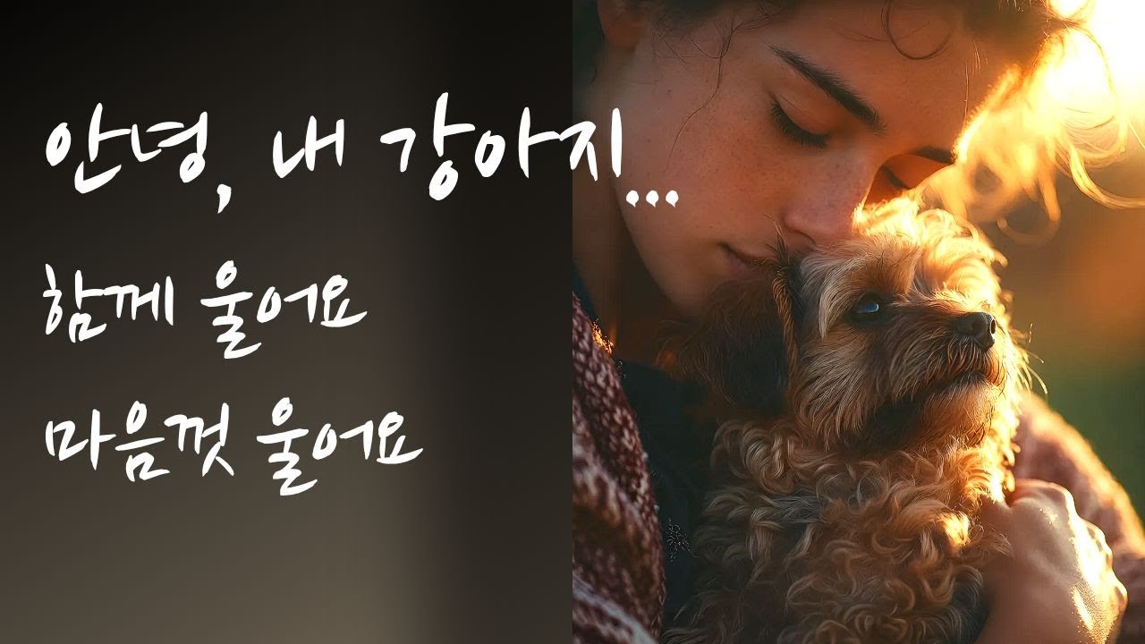 안녕, 내 강아지 | 반려견 펫로스 위로송 (Puppy Memorial Song / 虹の橋)