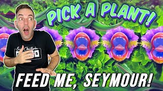 Feed Me, Seymour! ➚ Up to $45 SPINS  Little Shop of Horrors