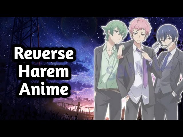 Reverse Harem Anime 