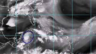 Tropical Update #1 - June 1, 2010
