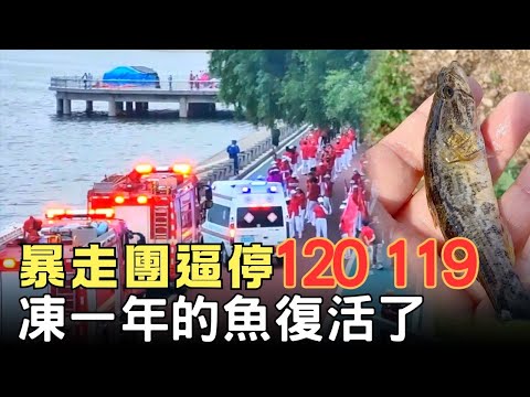 中國暴走團有多狂妄，竟逼停救護車和火警車讓道！