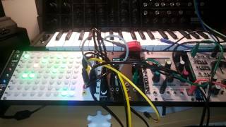 Intellijel Atlantis - Eurorack Module on ModularGrid