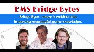 BMS Bridge Byte Defensive Technique