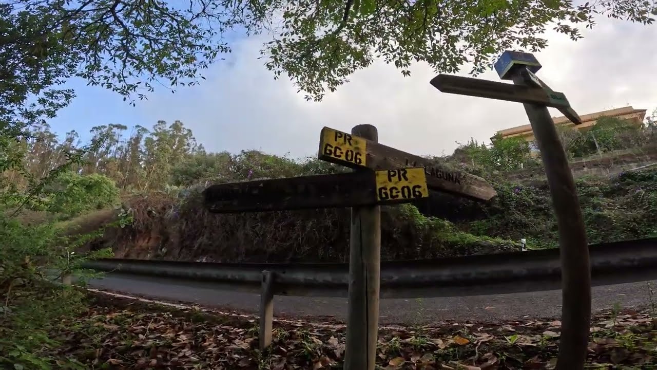 🌲🎧 30 Minutos de Senderismo con Sonidos de la Naturaleza | ASMR para Estudiar y Dormir