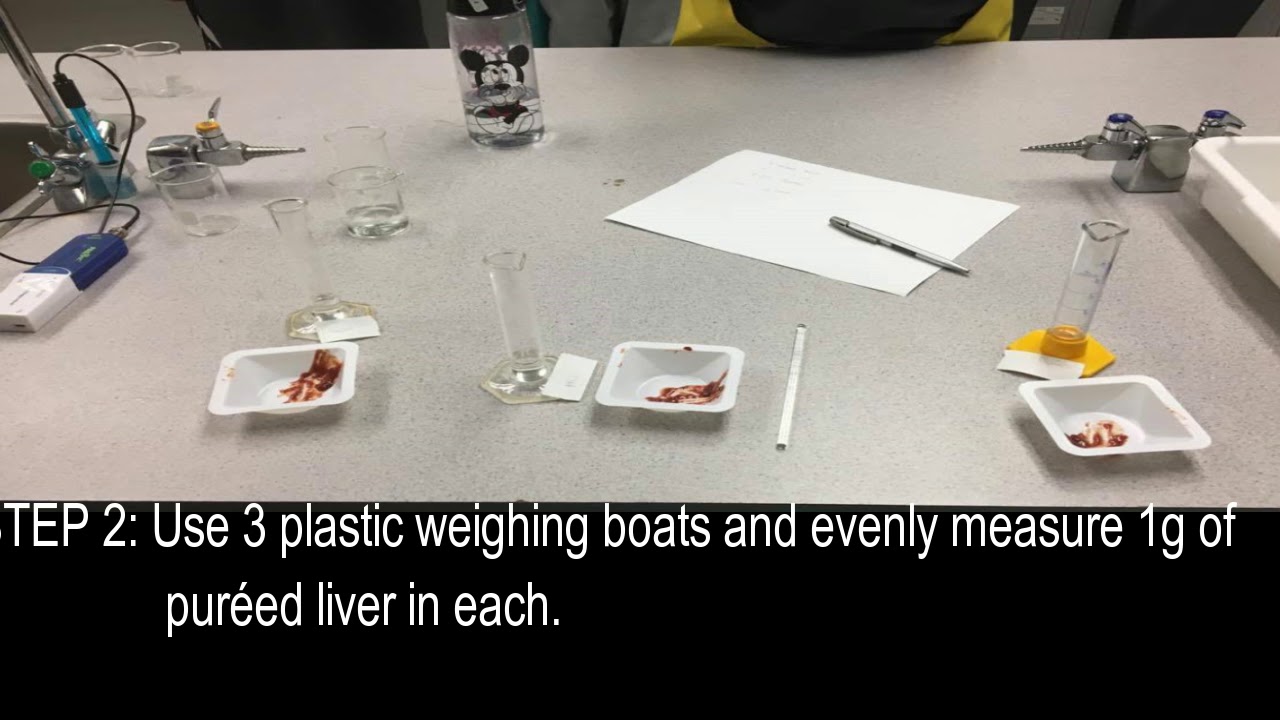 Liver Enzyme Lab Factor PH YouTube liver-enzyme-lab-factor-ph-youtube