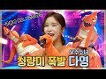우주소녀 다영 복면가왕 다영 모음 ZIP 우리 다영 노래도 OK 랩도OK 댄스도 OK 쟈나 매력터진다영 WJSN DAYOUNG Tvpp 우주소녀 다영 복면가왕 다영 모음 ZIP 우리 다영 노래도 OK 랩도OK 댄스도 OK 쟈나 매력터진다영 WJSN DAYOUNG Tvpp