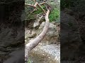 Avakas Gorge Nature Trail Cyprus Greece.