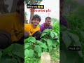 Happy Diwali 🎇🪔 #shortvideo Ankit Jack comedy