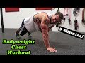 Intense 5 Minute At Home Chest Workout #2