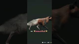 FOX &amp; PHEASANT Great Ones Were EVERYWHERE!!! - Call of the Wild #shorts