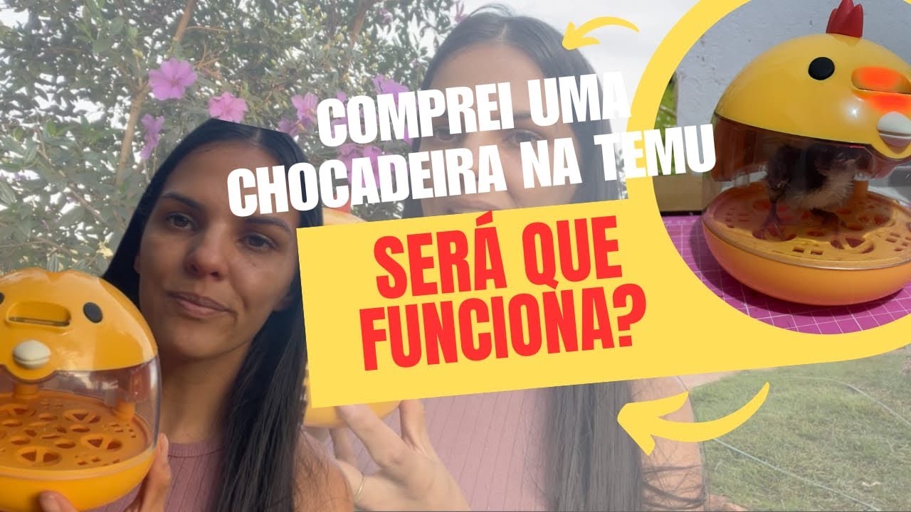 Comprei uma mini chocadeira de ovos na TEMU / testamos ela