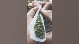 Dammu whatsapp status in tamil #dämmung #ganja #gana ||gana kanja kissa||sunilcreation