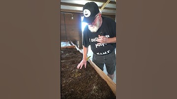 Touring the worm farm part 2 #worms #tour
