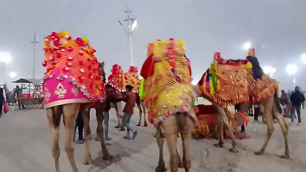 !! माघ मेला 2026 !!  हैलो दोस्तो देखिए प्रयागराज के स्नान घाट का सीन !! बहुत ही सुन्दर नजारा है !! 