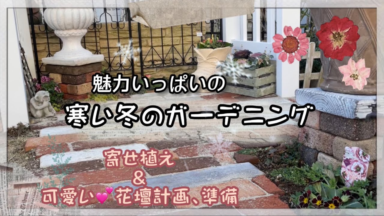 ガーデニング 魅力いっぱいの寒い冬のガーデニング 寄せ植え 可愛い 花壇計画 準備 Youtube