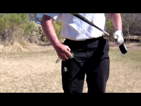 jumping cholla cactus & Golf