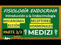 Fisiología Endocrina - INTRO (RECEPTORES HORMONALES - MECANISMO ACCIÓN) PARTE 3/3
