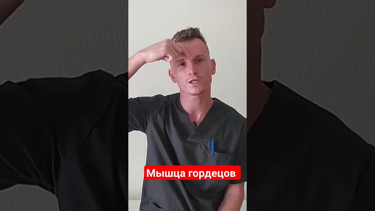 МЫШЦА ГОРДЕЦОВ. 