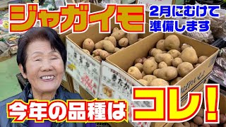 前川種苗店で新しい種芋を購入
