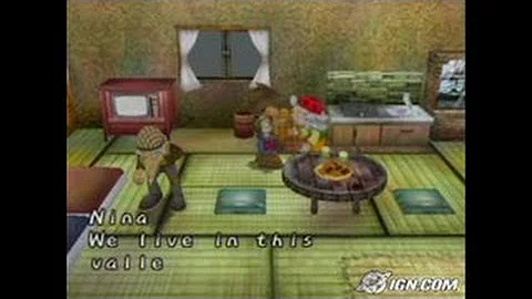 Harvest Moon: A Wonderful Life GameCube - DayDayNews