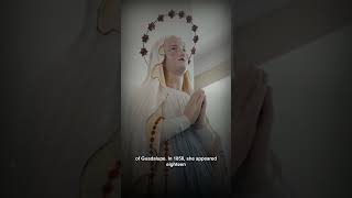 Marian APPARITIONS: Fatima, Lourdes & Guadalupe — When Heaven Touched Earth