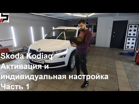 4K Skoda Kodiaq Активация и индивидуальная настройка автомобиля Часть 1