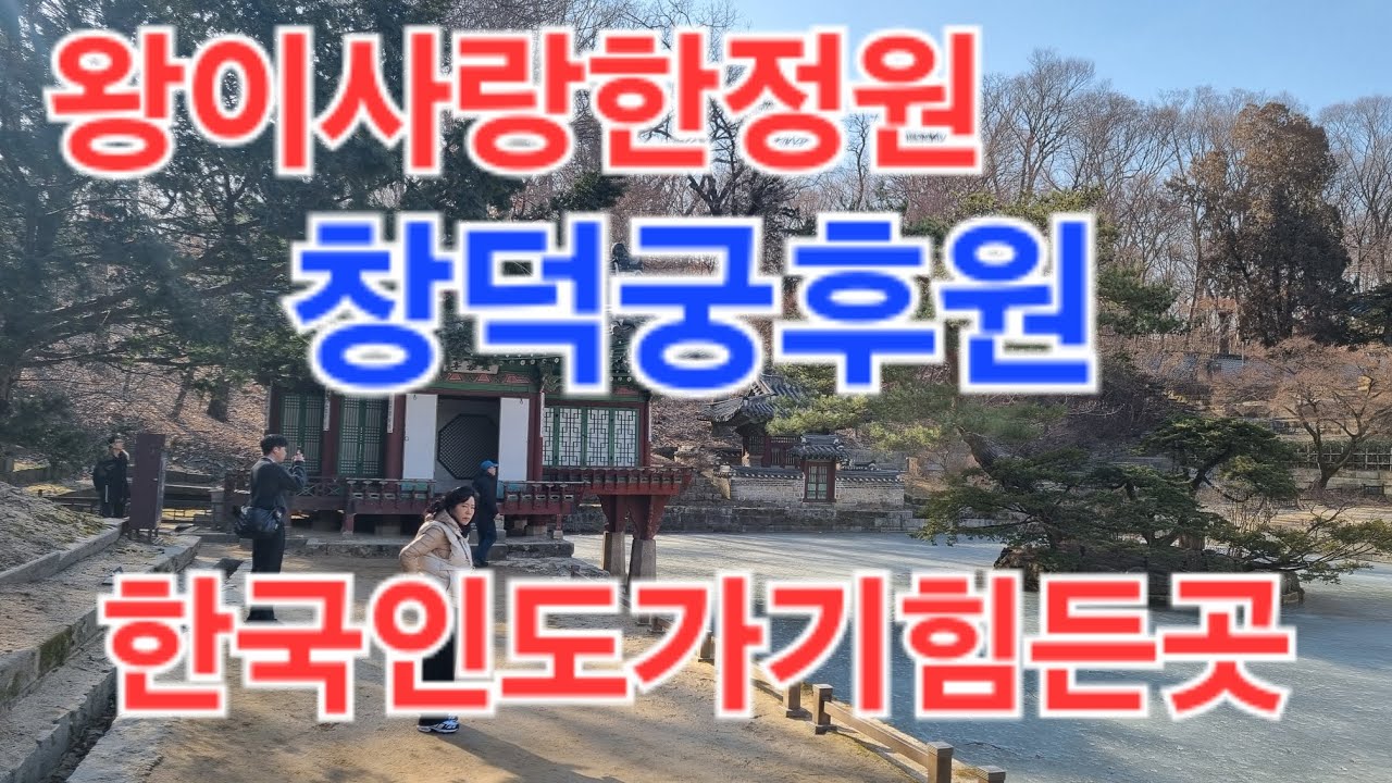 왕이사랑한정원 창덕궁후원#창덕궁후원#서울가볼만한곳  2026.2.15.일.