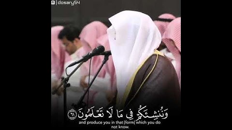سورة الواقعة (٥٧ إلى ٦٤)القارئ د. ياسر الدوسري